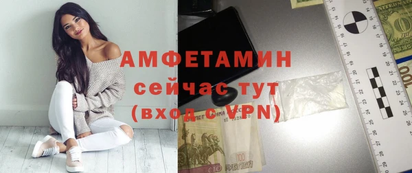 крисы Мегион