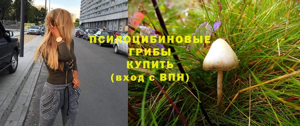 молекула духа Абдулино