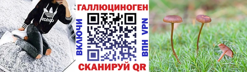 МЕГА ссылки  наркошоп  Тайга  Галлюциногенные грибы мухоморы 